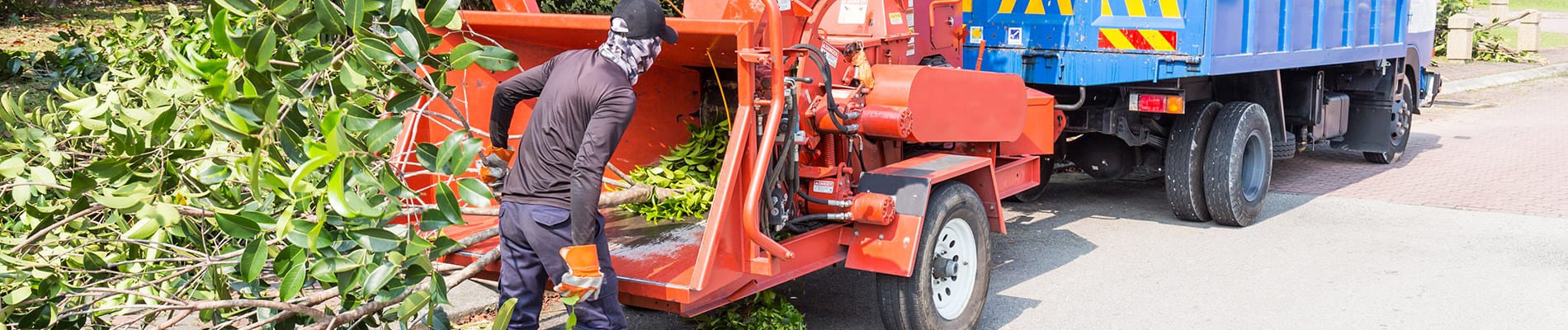 tree trimming and pruning Springfield IL