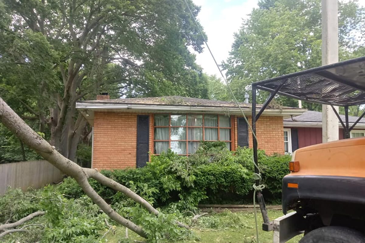 Local Tree Service Companies - Tree Removal - Best Pick Reports